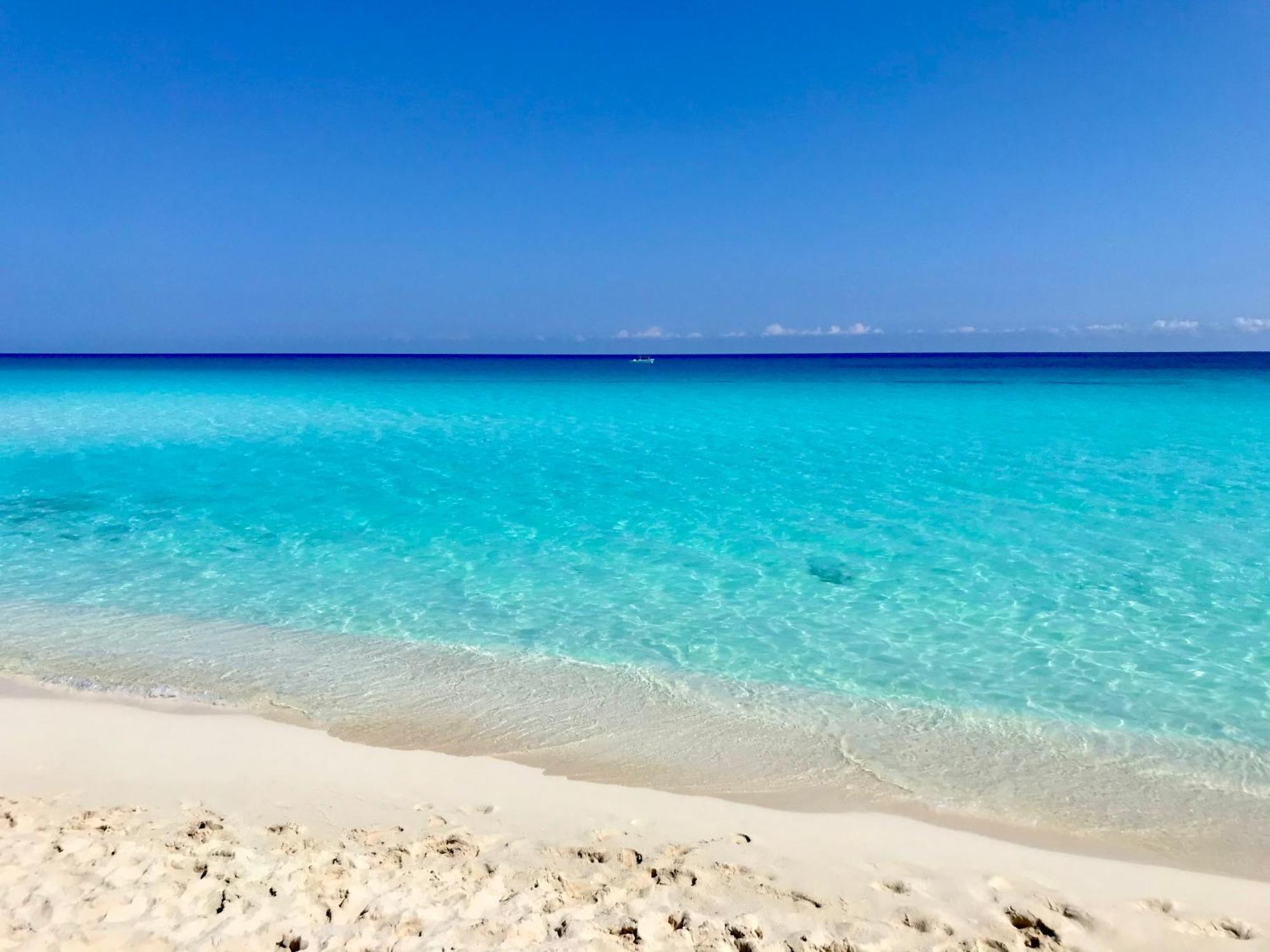 Beachside Apartments קנקון מראה חיצוני תמונה